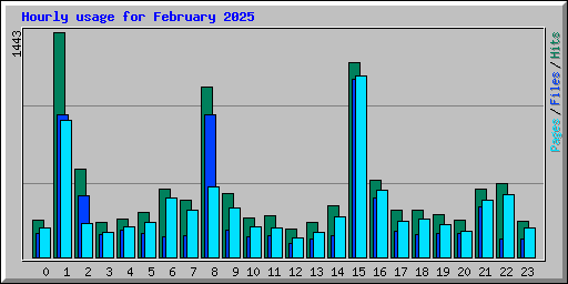 Hourly usage for February 2025