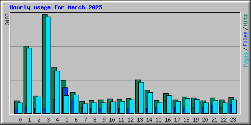 Hourly usage for March 2025