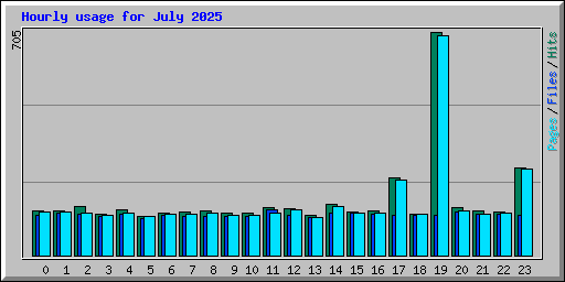 Hourly usage for July 2025