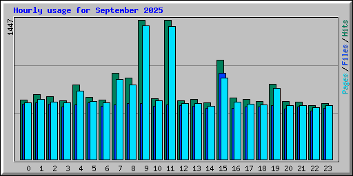 Hourly usage for September 2025