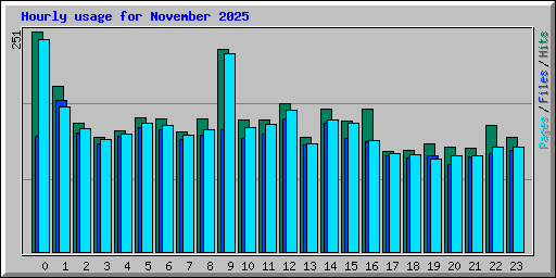 Hourly usage for November 2025
