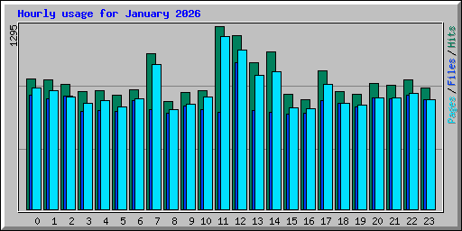 Hourly usage for January 2026
