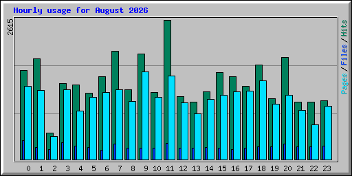 Hourly usage for August 2026