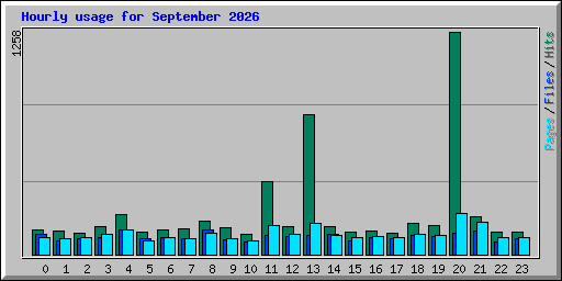 Hourly usage for September 2026